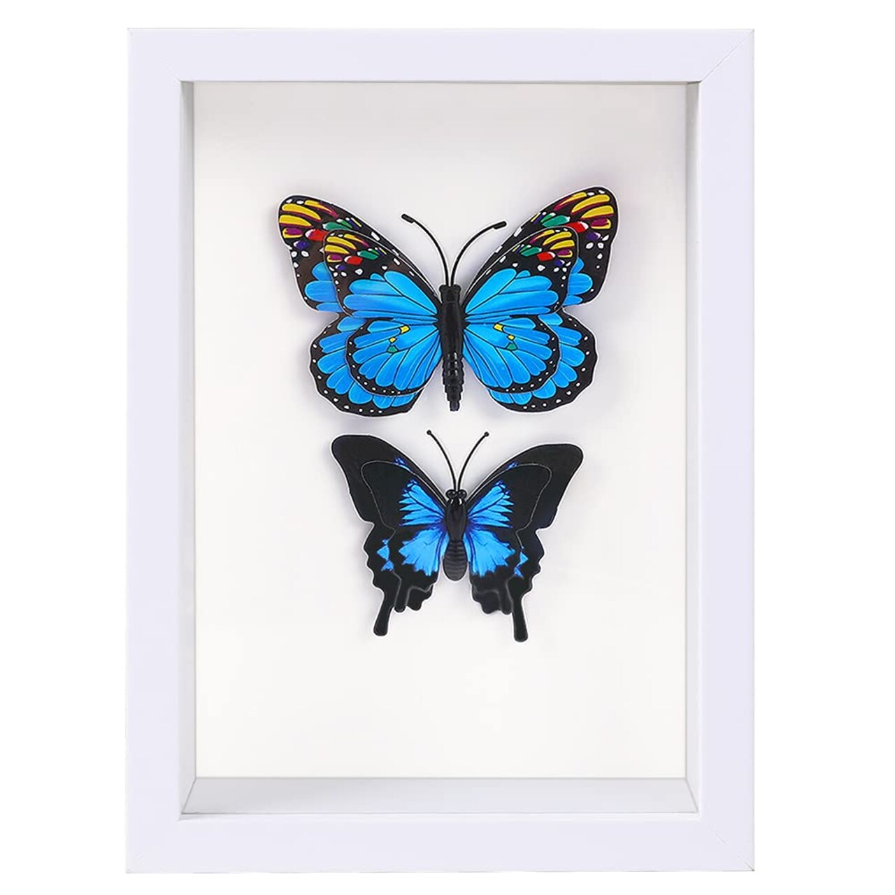 6x8 White Shadow Box Frame Display Case for Photos,Flowers,Wedding Bouquets,Awards,Insects and Memorabilia
